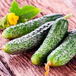 Огурец свежий. Горелово