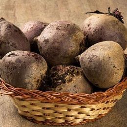 Свекла красная