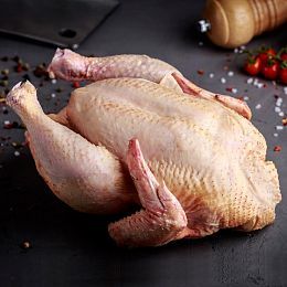 Цыпленок-бройлер средний (экстра). Брод 