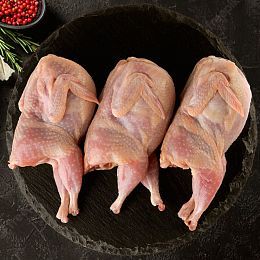 Перепела тушка. Брод