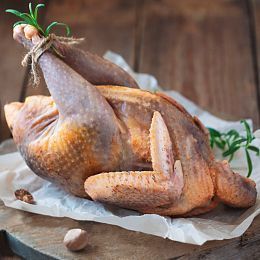 Цесарка тушка большая. Брод