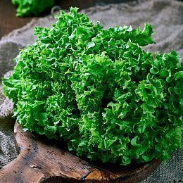 Салат листовой. Горелово