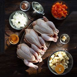 Цыпленок-корнишон большой. Брод