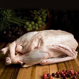 Гусь тушка большая. Брод