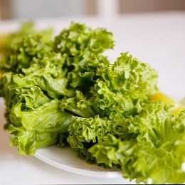 Салат листовой. Горелово