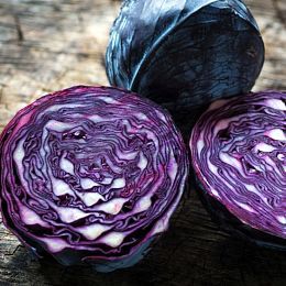 Капуста краснокочанная