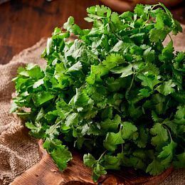 Кинза. Горелово