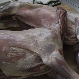 Туша баранья средняя. Брод