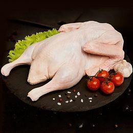 Утка тушка средняя. Брод