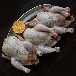 Цыпленок-бройлер большой (экстра). Брод 