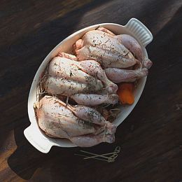 Цыпленок-корнишон средний. Брод