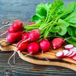 Редис. Горелово