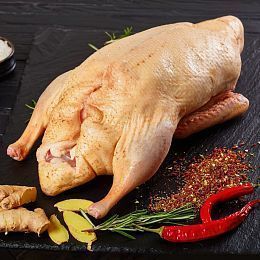 Утка тушка большая. Брод