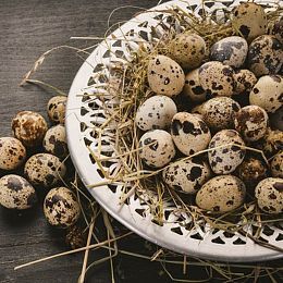 Яйцо перепелиное. Брод