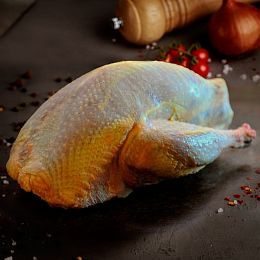 Фазан тушка большая. Брод