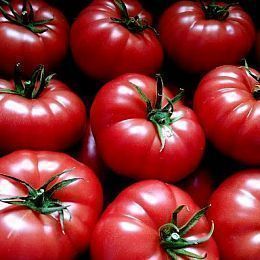 Помидоры Азербайджан